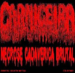 Necrose Cadaverica Brutal